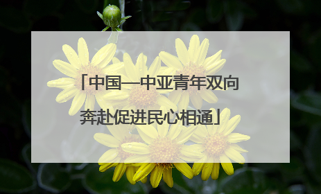 中国—中亚青年双向奔赴促进民心相通